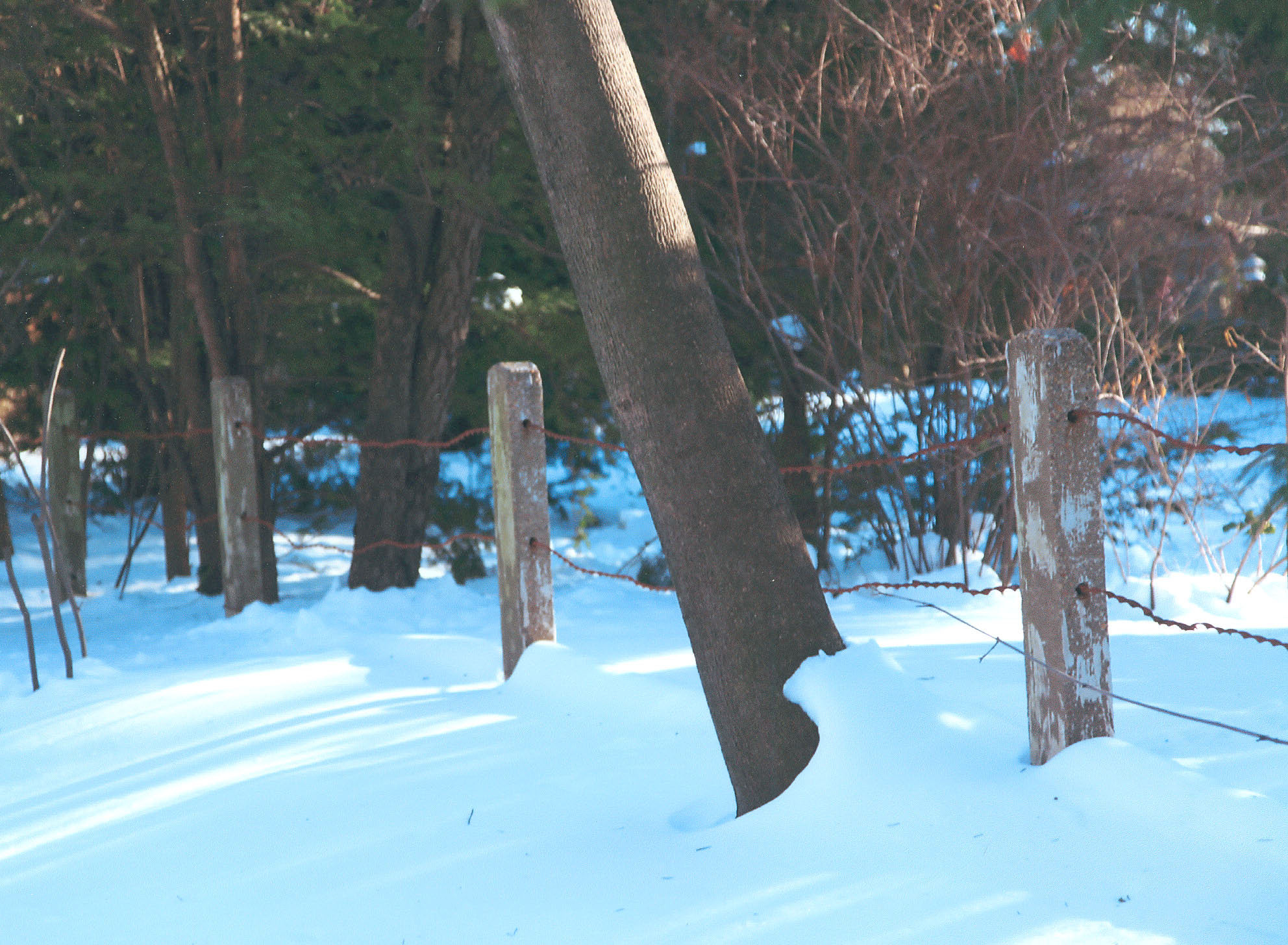LIMP Winter Scene #10 Motor Parkway Concrete Posts Garden City