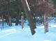 LIMP Winter Scene #10 Motor Parkway Concrete Posts Garden City