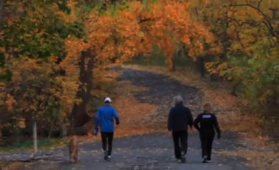 Hike the Long Island Motor Parkway, Cunningham Park, Queens