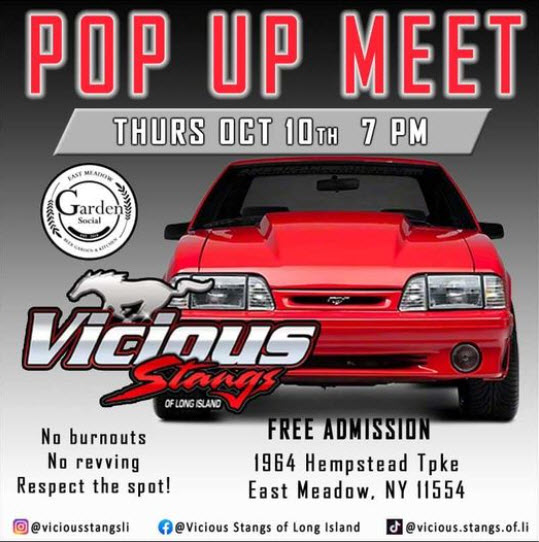 The Vicious Stangs of LI POP UP MEET, East Meadow, NY