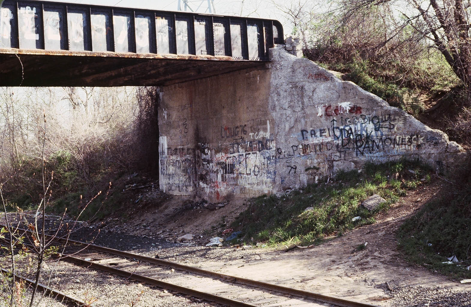 Vanderbilt Cup Races Blog Mystery Foto 35 SolvedWilliston Park
