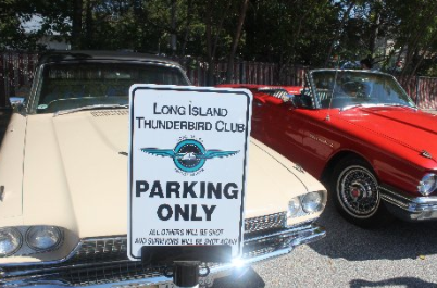 Thunderbird & Ford Car Show, Kings Park, NY