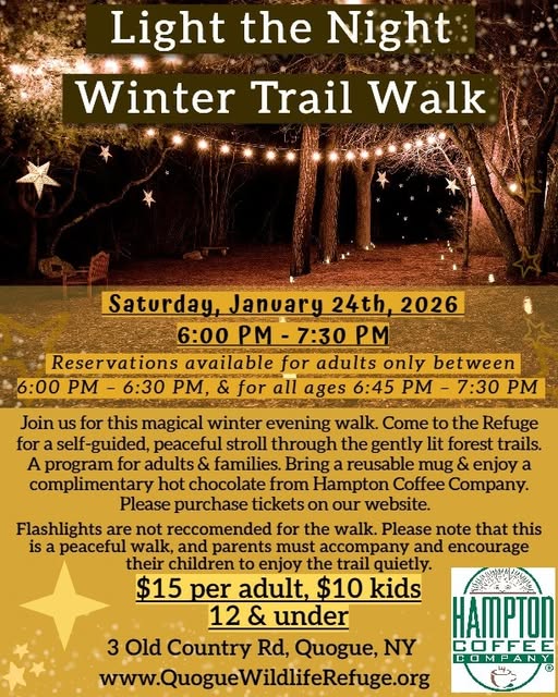 Light the Night Winter Tail Walk, Quogue, NY