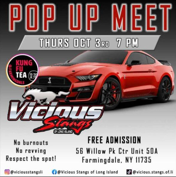 Vicious Stangs of LI Pop Up Meet, Farmingdale, NY