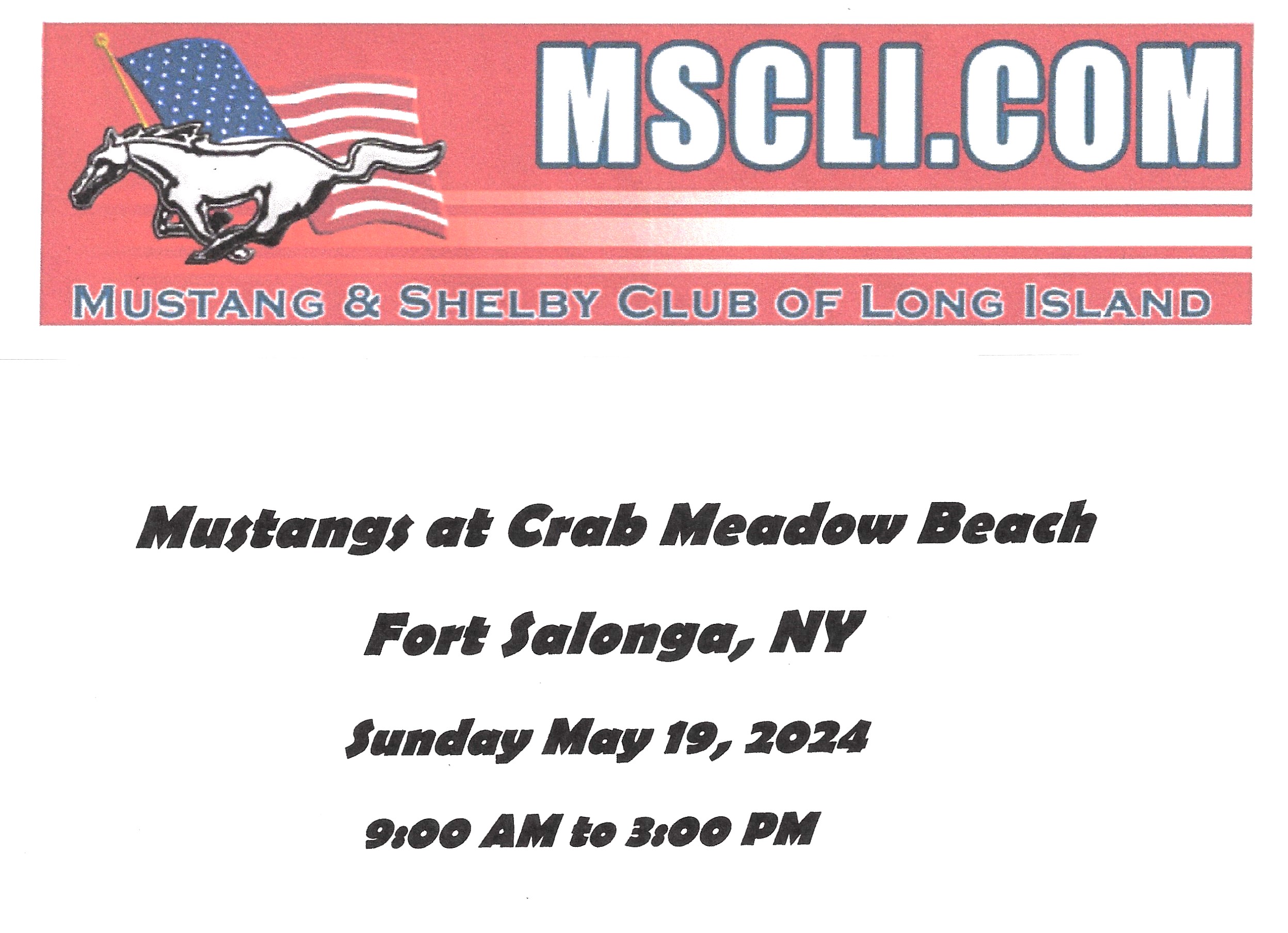 Mustangs at Crab Meadow Beach, Ft. Salonga, NY