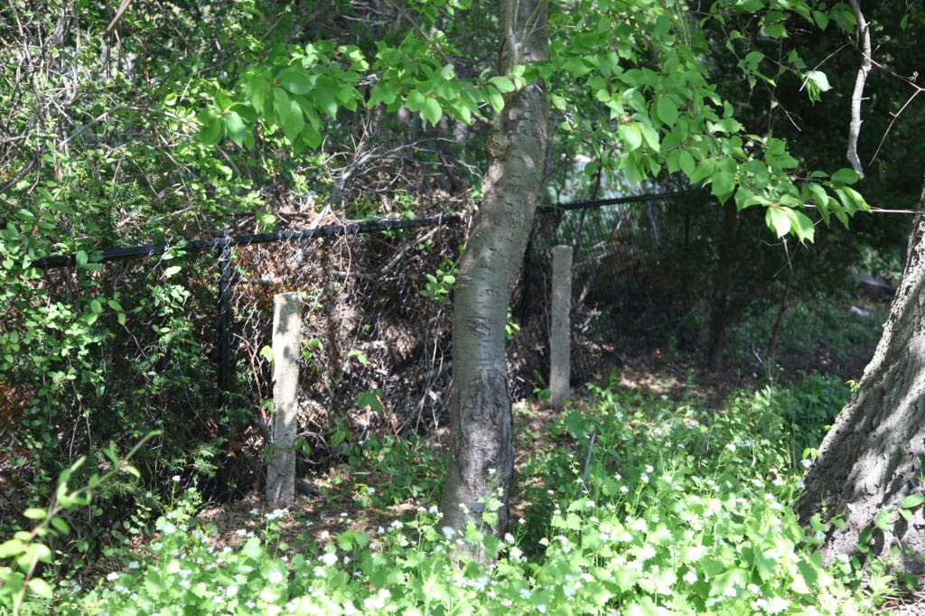 Vanderbilt Cup Races Blog Long Island Motor Parkway Bridge Series