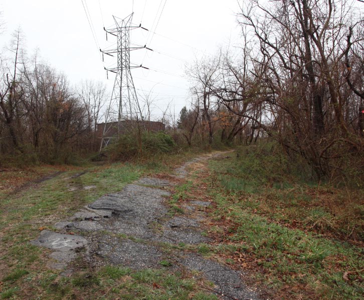 Clean-Up the Historic Deadman’s Curve Day, Bethpage, NY