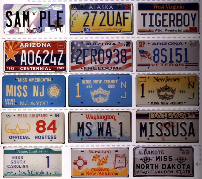38th Annual LI Regional ALPCA License Plate Sale & Show, Massapequa, NY