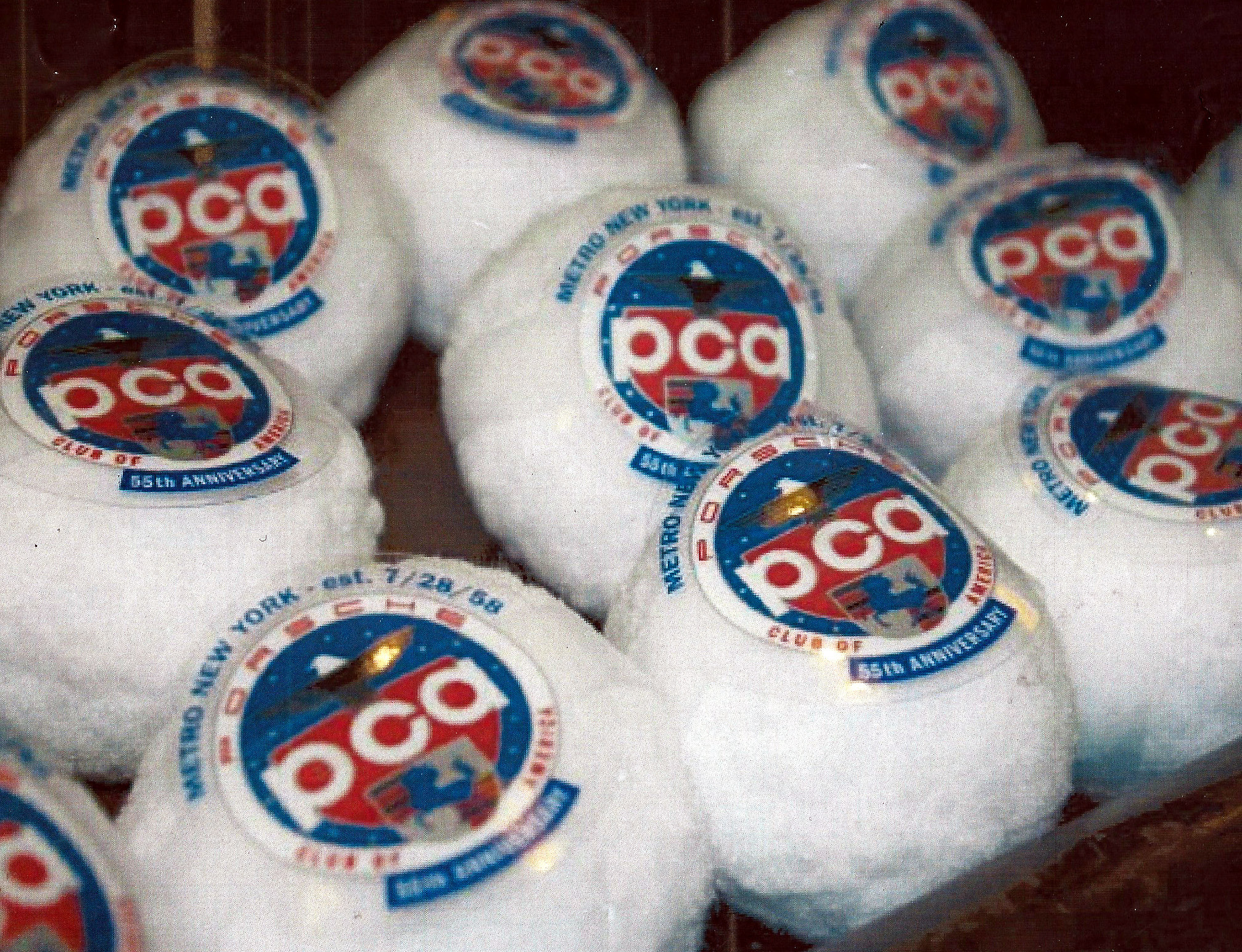 The 62nd PCA Snowflake Rally, Hauppauge, NY