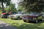 InstaGRAM Report: Mustang fever at the Gold Coast Cruisers Car Show
