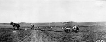 Mystery Foto #5 Solved: The Motor Parkway West of Merrick Avenue Under Construction in 1908