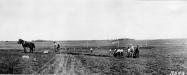 Mystery Foto #5 Solved: The Motor Parkway West of Merrick Avenue Under Construction in 1908