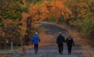 District 23 to Vote on Resurfacing of the Motor Parkway Section of the Queens Greenway