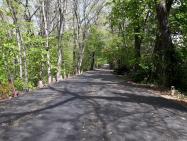 The Femenias Report: Repaving of the Motor Parkway In Alley Pond and Cunningham Park