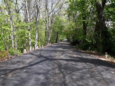 The Femenias Report: Repaving of the Motor Parkway In Alley Pond and Cunningham Park