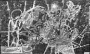 Mystery Foto #27 Solved:Model of the Proposed Golf Courses of Bethpage State Park Golf  (Circa 1933)