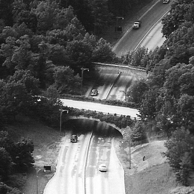 Newsday 1954 Article: “Motor Parkway ‘Ghosts’ Haunt Northern State”