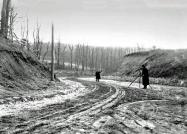 The Roslyn Hill Climb in the 1901 Long Island Endurance Test