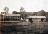 A great-grandson recalls his family’s Bulls Head Hotel, Auto & Wagon Shed located in Bulls Head (North Roslyn, Greenvale)
