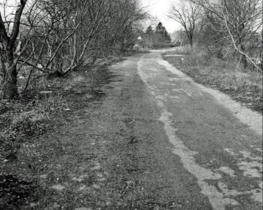 Mystery Foto #19 Solved: The Motor Parkway East of Clinton Road, Garden City in the 1950s