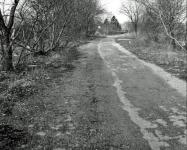 Mystery Foto #19 Solved: The Motor Parkway East of Clinton Road, Garden City in the 1950s
