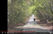Video of the Week: The Long Island Motor Parkway- The World’s First Highway