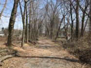 Sam & Dave’s “Excellent 2019 Vanderbilt Day”- #6 East Williston