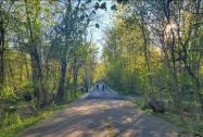 Virtual Walking Tour This Saturday: The Long Island Motor Parkway in Queens