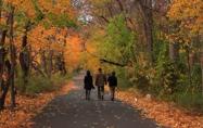Video of the Week: The beautiful Queens section of the Motor Parkway