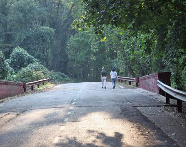 Queens Greenway Clean-Way Day on Saturday, April 14, 2012