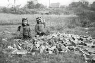 Mystery Foto #68 Solved: A Motor Parkway Culvert in the Hempstead Plains (Levittown)