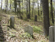 Kleiner’s Korner: Part 2 - (Very) Quiet Viewing Locations on the Motor Parkway