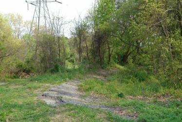 The Closing of the Motor Parkway and the Current Utilization of the Right-Of-Way