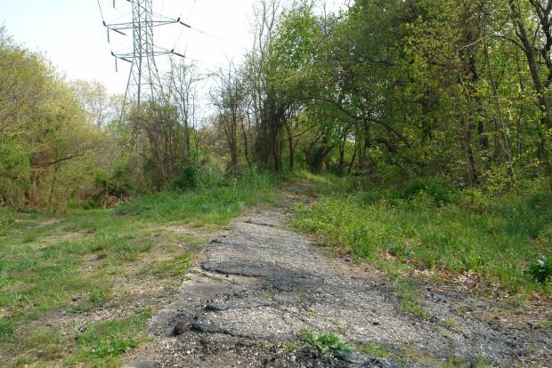 The Vanderbilt Cup Races, LIMP and LILCO