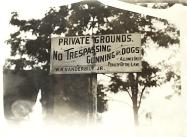 Kleiner’s Korner: Petting Parties on the Motor Parkway