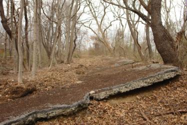Motor Parkway Trails #3: Bethpage Along the Central Railroad Right-Of Way