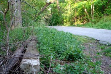 Queens Chronicle reports “Land Grab” along the  Long Island Motor Parkway