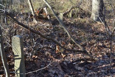 Sam & Dave’s Excellent “Lost” Motor Parkway Adventure I: Clearview Expressway-Queens