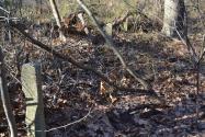 Sam & Dave’s Excellent “Lost” Motor Parkway Adventure I: Clearview Expressway-Queens