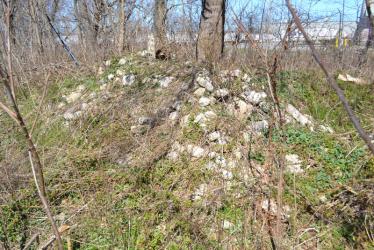 Updated: Sam & Dave’s “Excellent Motor Parkway Hike” VI: Broad Hollow Road