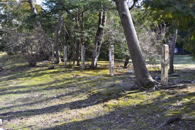 The Concrete Fence-Posts of the Long Island Motor Parkway