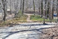 Sam & Dave’s “Excellent Motor Parkway Hike” VIII: Wheatley Heights & Dix Hills (Half Hollows Hills)