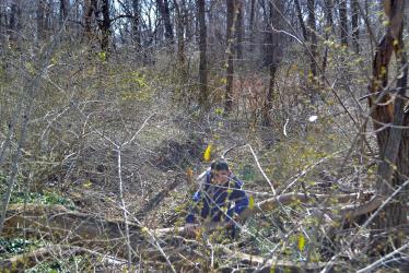 Sam & Dave’s “Excellent Motor Parkway Hike” IX:To the Finish Line at Half Hollows Hills