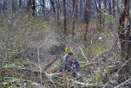Sam & Dave’s “Excellent Motor Parkway Hike” IX:To the Finish Line at Half Hollows Hills