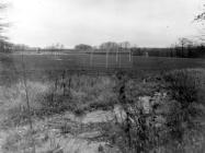 Then & Now: The Motor Parkway near Burrs Lane,&nbsp; Half Hollow Hills