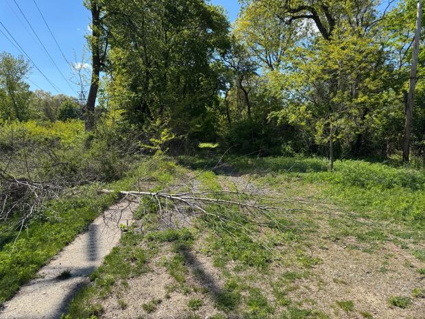 Update: Then (2017 and 2020)&nbsp; & Now (2026): A  sad return to the Long Island Motor Parkway in Garden City