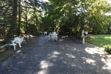 The Motor Parkway in Garden City: The  Russell Road Backyards
