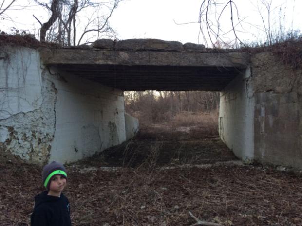 Sam & Dave’s “Excellent Motor Parkway Adventure” XI: Old Bethpage Bridge