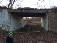 Sam & Dave’s “Excellent Motor Parkway Adventure” XI: Old Bethpage Bridge