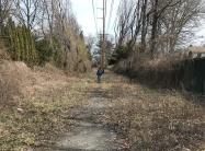 Sam & Dave’s “Excellent 2019 Vanderbilt Day”-&nbsp; #3 Searingtown